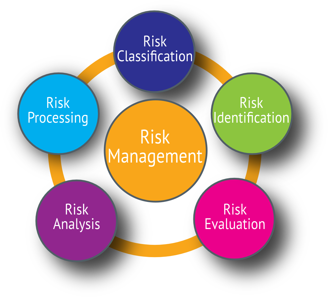 Risk Management