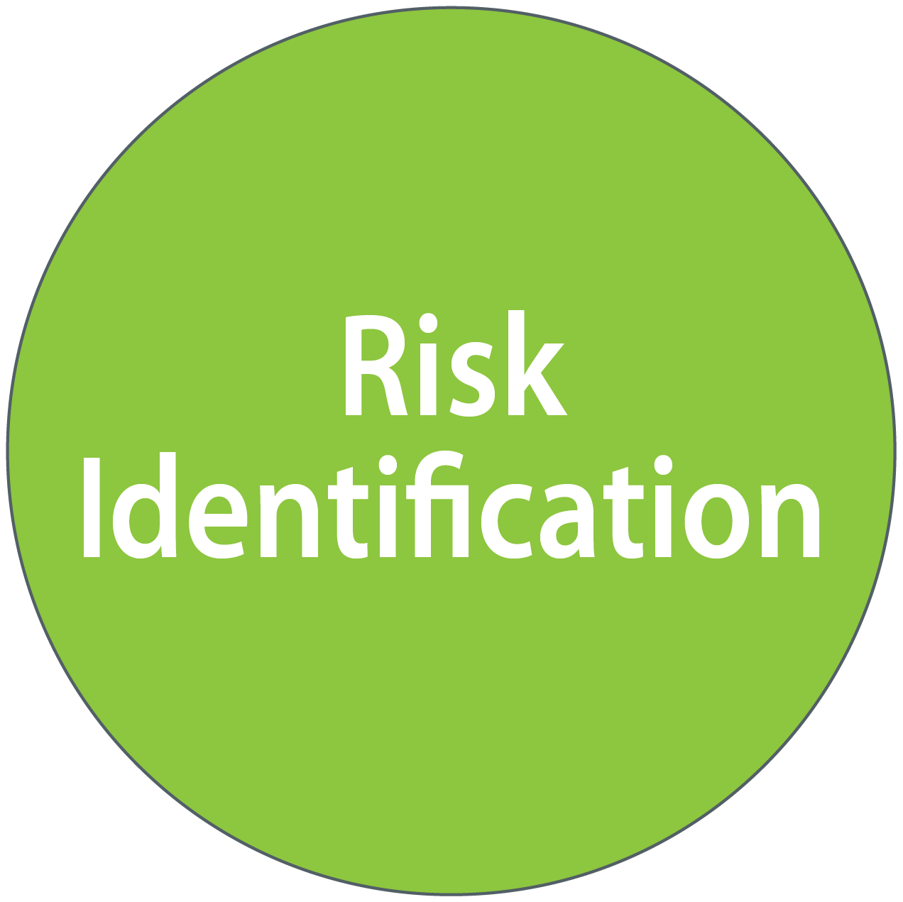 Risk Identification