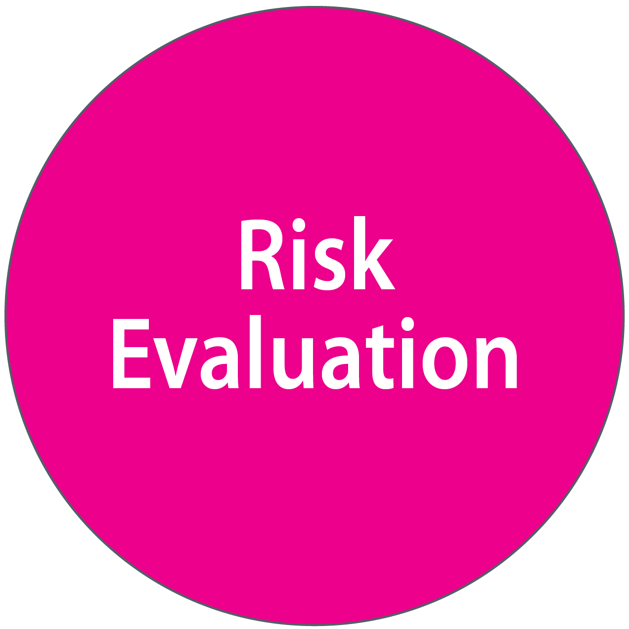 Risk Evaluation