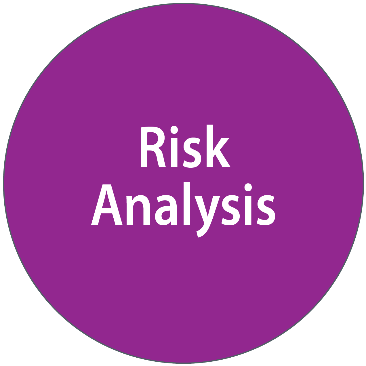 Risk Analysis Cycle