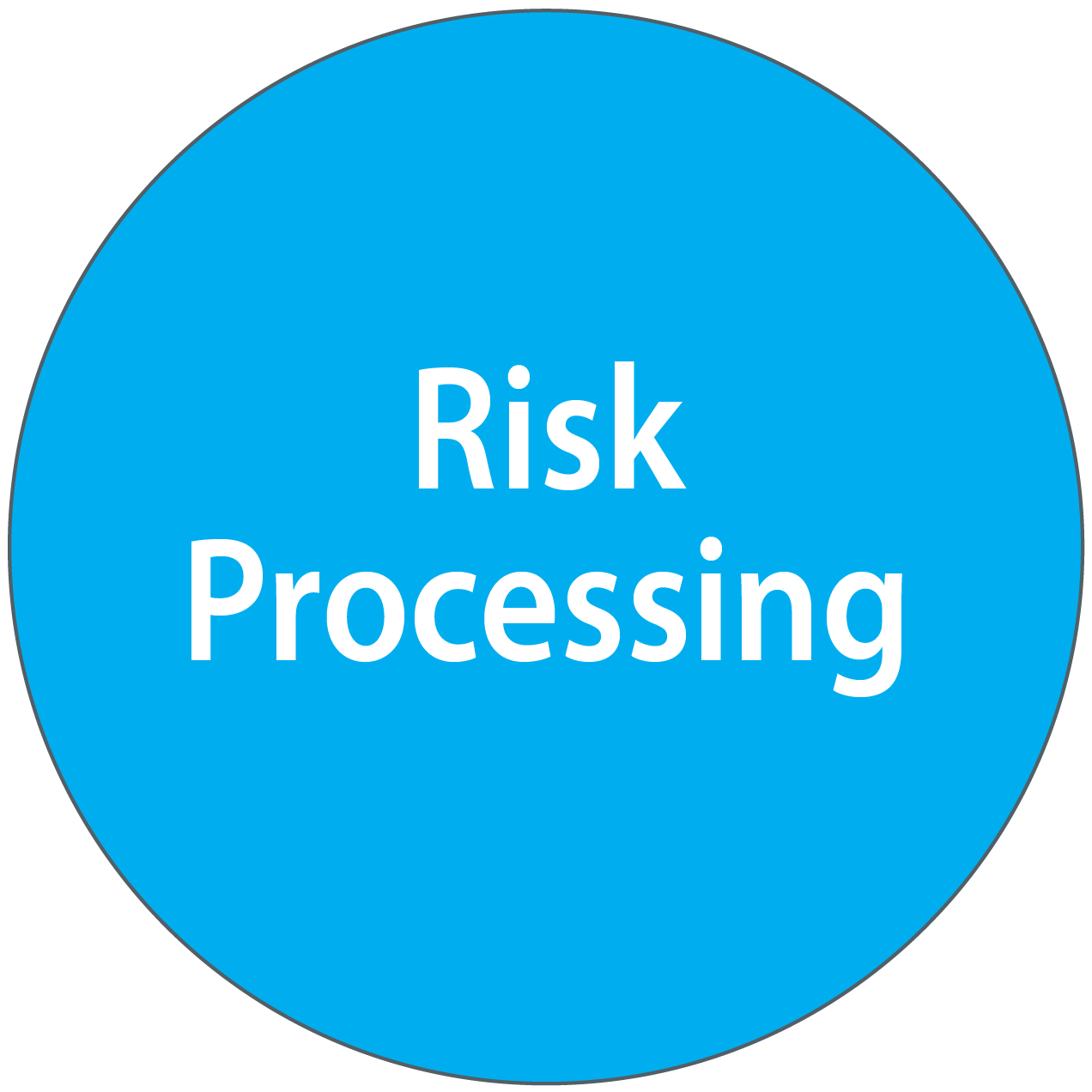 Risk Processing in Construction Projects