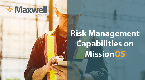 Risk Management Capability